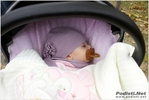 vian-truffle_morselli_stefano_311011_530.JPG