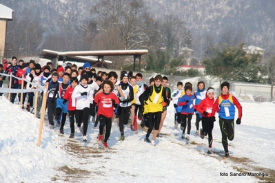 Clicca per vedere l'immagine alla massima grandezza