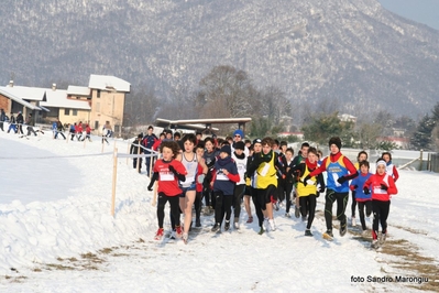 Clicca per vedere l'immagine alla massima grandezza