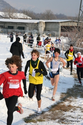 Clicca per vedere l'immagine alla massima grandezza