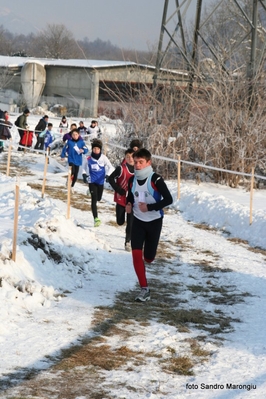 Clicca per vedere l'immagine alla massima grandezza