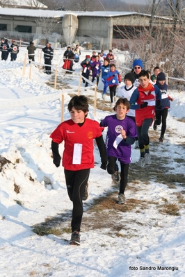 Clicca per vedere l'immagine alla massima grandezza