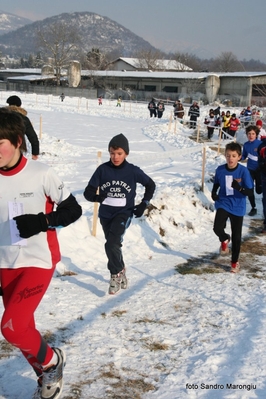 Clicca per vedere l'immagine alla massima grandezza