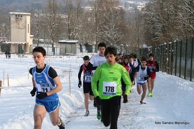Clicca per vedere l'immagine alla massima grandezza