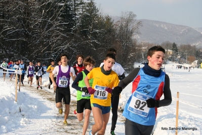 Clicca per vedere l'immagine alla massima grandezza