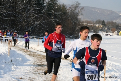 Clicca per vedere l'immagine alla massima grandezza