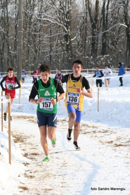 Clicca per vedere l'immagine alla massima grandezza
