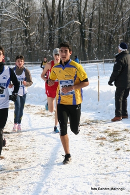 Clicca per vedere l'immagine alla massima grandezza