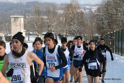 Clicca per vedere l'immagine alla massima grandezza