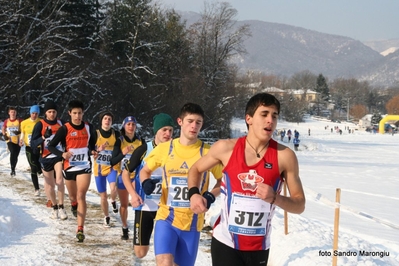 Clicca per vedere l'immagine alla massima grandezza