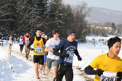 Clicca per vedere l'immagine alla massima grandezza