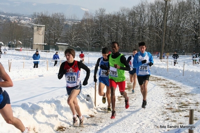 Clicca per vedere l'immagine alla massima grandezza
