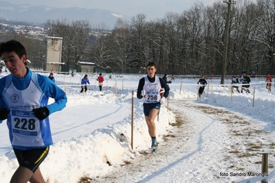 Clicca per vedere l'immagine alla massima grandezza