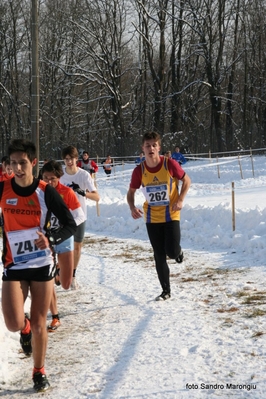 Clicca per vedere l'immagine alla massima grandezza