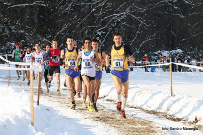 Clicca per vedere l'immagine alla massima grandezza