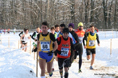 Clicca per vedere l'immagine alla massima grandezza