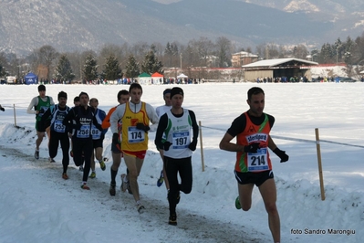 Clicca per vedere l'immagine alla massima grandezza