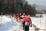 IMG_7009.jpg