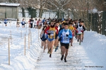 IMG_7085.jpg