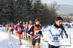 IMG_7442.jpg