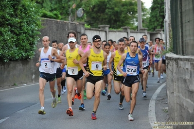 Clicca per vedere l'immagine alla massima grandezza