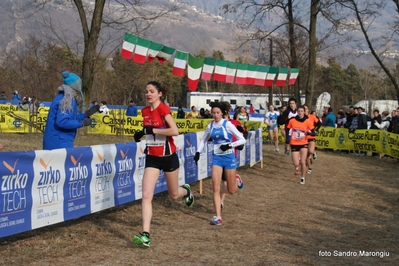 Clicca per vedere l'immagine alla massima grandezza