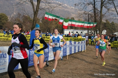 Clicca per vedere l'immagine alla massima grandezza