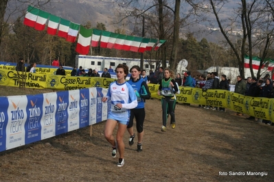 Clicca per vedere l'immagine alla massima grandezza