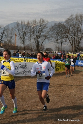 Clicca per vedere l'immagine alla massima grandezza
