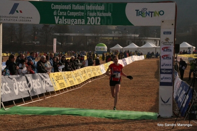 Clicca per vedere l'immagine alla massima grandezza