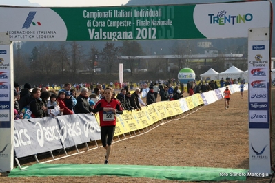 Clicca per vedere l'immagine alla massima grandezza