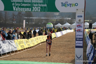 Clicca per vedere l'immagine alla massima grandezza