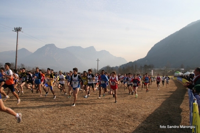 Clicca per vedere l'immagine alla massima grandezza