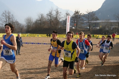 Clicca per vedere l'immagine alla massima grandezza
