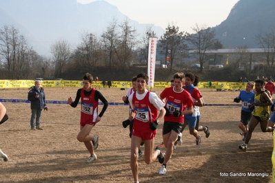 Clicca per vedere l'immagine alla massima grandezza