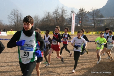 Clicca per vedere l'immagine alla massima grandezza