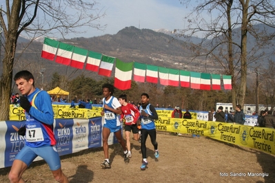 Clicca per vedere l'immagine alla massima grandezza
