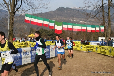 Clicca per vedere l'immagine alla massima grandezza