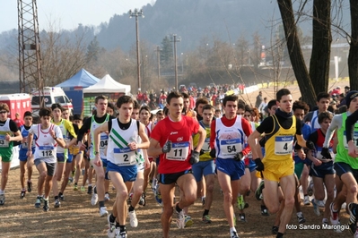 Clicca per vedere l'immagine alla massima grandezza