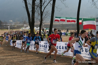 Clicca per vedere l'immagine alla massima grandezza