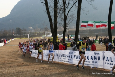 Clicca per vedere l'immagine alla massima grandezza