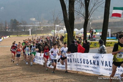 Clicca per vedere l'immagine alla massima grandezza