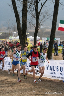 Clicca per vedere l'immagine alla massima grandezza