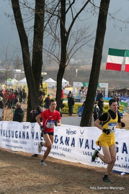 Clicca per vedere l'immagine alla massima grandezza