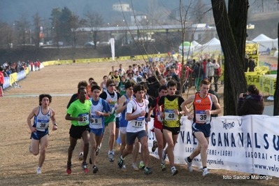 Clicca per vedere l'immagine alla massima grandezza