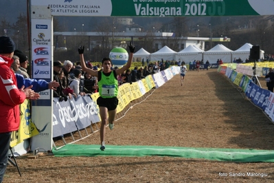 Clicca per vedere l'immagine alla massima grandezza