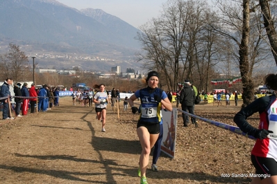 Clicca per vedere l'immagine alla massima grandezza