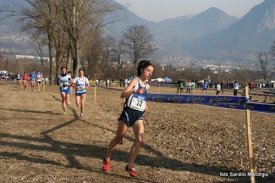 Clicca per vedere l'immagine alla massima grandezza