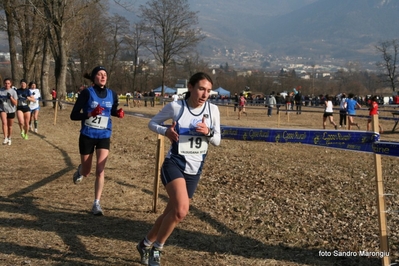 Clicca per vedere l'immagine alla massima grandezza