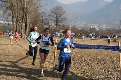 Clicca per vedere l'immagine alla massima grandezza